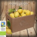 Limón Ecológico 10 Kg
